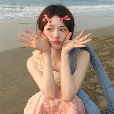 美国派：索爱天书