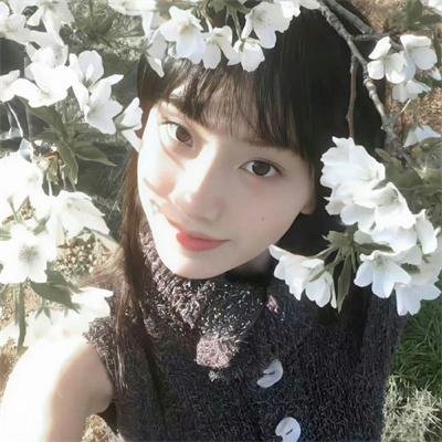 王子的本命是反派大小姐